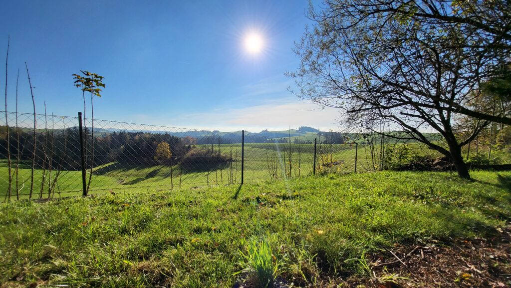 Bilder Außenbereich